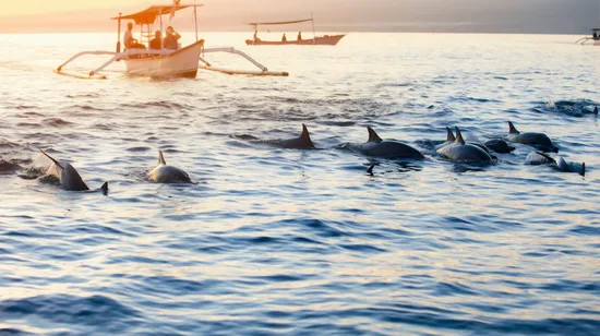 Ayuthaya Must Visit Temple Tour from Bangkok