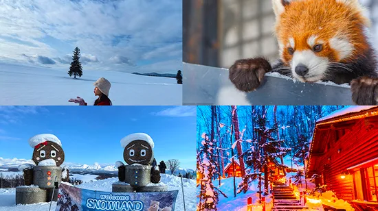 Petronas Twin Towers and Batu Caves Full Day Tour