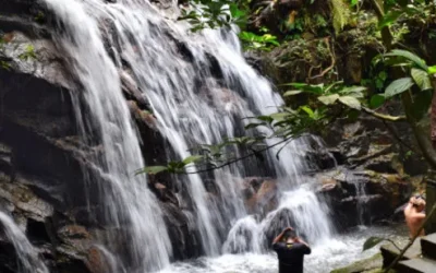 aaofl8d568u1xerq0rol