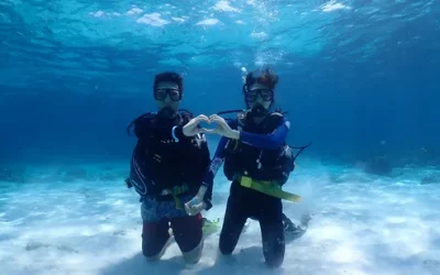 ailbulkreizegxsyjjmr