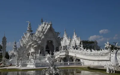 amfelpglt54t6i8uh7gz