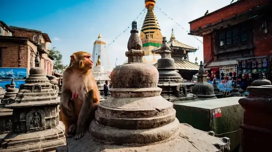 NBS Private Ski and Snowboard lessons 4/6 hours in Niseko