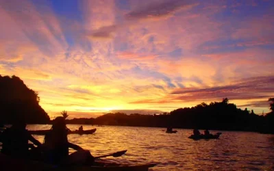 aswtf0z7buk4rlpxc0xm