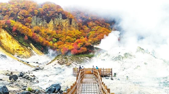 Jewish Heritage Guided Tour with Synagogue Ticket in Budapest