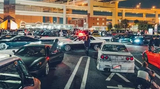 Elephant Jungle Journeys: Chiangmai’s Best Budget Deals Await!