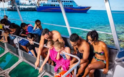 b50alzkyb1agbnuu58jb