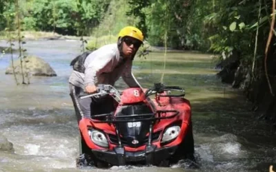 b5iwdhtx7tcogqp5wvgp