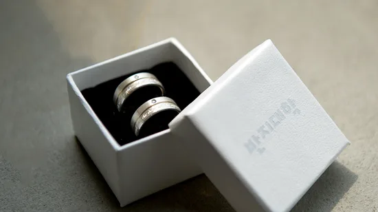 Melbourne City Tour, Moonlit and Penguin Parade in One Day Tour 9 Melbourne City Tour, Moonlit and Penguin Parade in One Day Tour