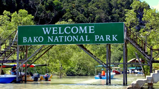 See London By Night Evening Sightseeing Tour