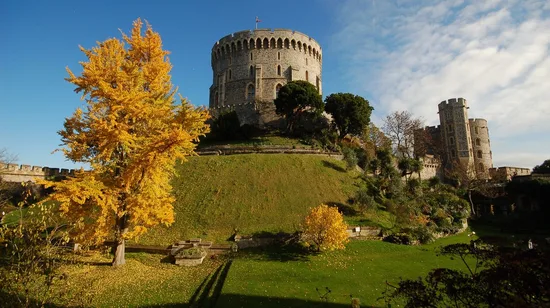 Ba Na Hills and Golden Bridge Day Tour