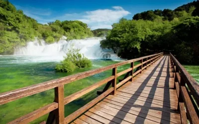 canjwqwgsziiyjsijzr0