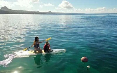 Stand Up Paddleboarding Experience in Kenting