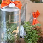 Pingtung: DIY Handmade Experience (Plant Eco Bottle / Green Plant Planet)