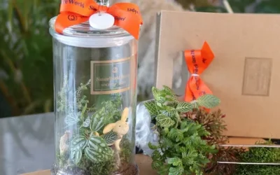 Pingtung: DIY Handmade Experience (Plant Eco Bottle / Green Plant Planet)