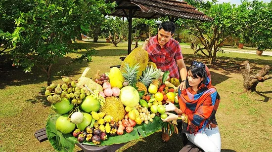 [Pure play and no shopping] Sanya Nanshan Temple series one-day tour (including tickets and transfers)