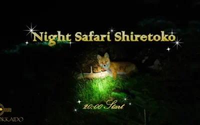 Andorra and France from Barcelona One Day Tour cteffl5ia6qi4hhofzft