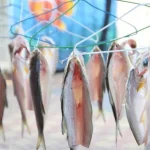 Do-It-Yourself Fourfinger Threadfin - Fishing Village Storage Skills