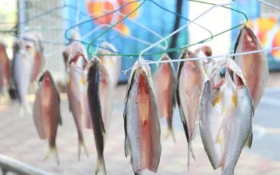 Do-It-Yourself Fourfinger Threadfin - Fishing Village Storage Skills