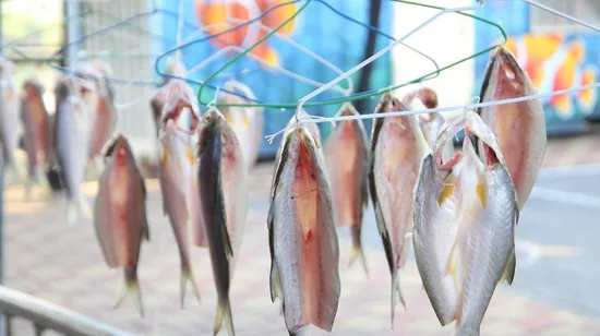 Kayak Sailing Experience in Xiaolliuqiu, Pingtung