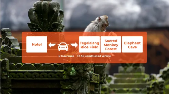 Vancouver Evening Sunset Tour with Photo Stops 10 Vancouver Evening Sunset Tour with Photo Stops