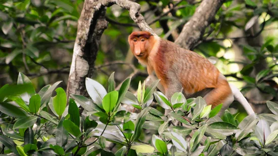 Secret gems of Kanazawa