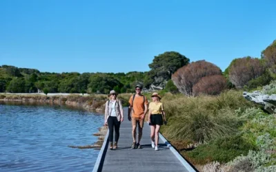 dlqglnodi80dwvwsiihp