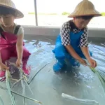 Yilan｜Chumi Experience Farm｜DIY Creative Scallion Bread & Scallion Pie (Scallion Pancake) Experience