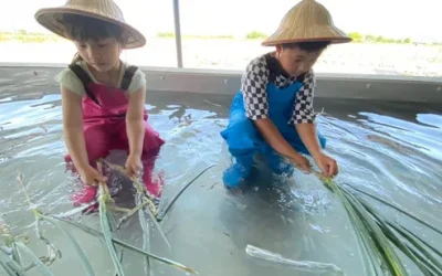 Yilan｜Chumi Experience Farm｜DIY Creative Scallion Bread & Scallion Pie (Scallion Pancake) Experience