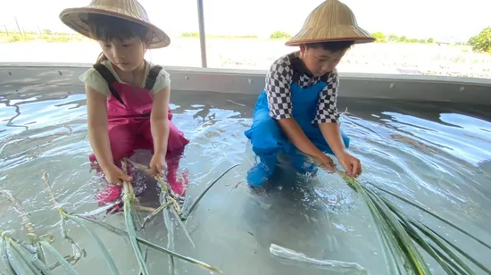 Yilan Zhang Mei Ama Farm Day Tour from Taipei