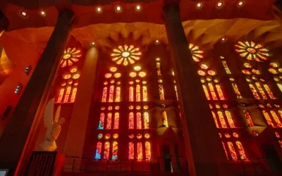 drb8vlxh71dgi0uxotuf