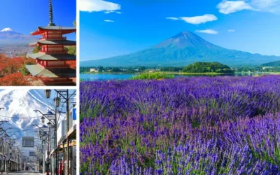 dupizhstm7urjo4hp3kv