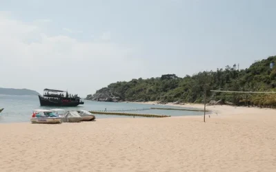 dygkzmfd8zcxmf0v41p0