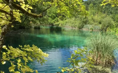 edhxm9azoguvifeeiblx