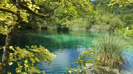 Angkor Temples Grand Circuit Private Tour by Tuk-Tuk 11 Angkor Temples Grand Circuit Private Tour by Tuk-Tuk