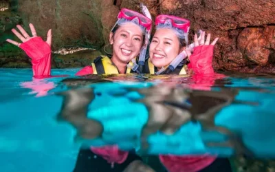 eigvpw1zmeurlrkzrxwu