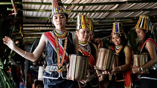 Small Group Philip Island Express Penguin & Wallaby Spoting