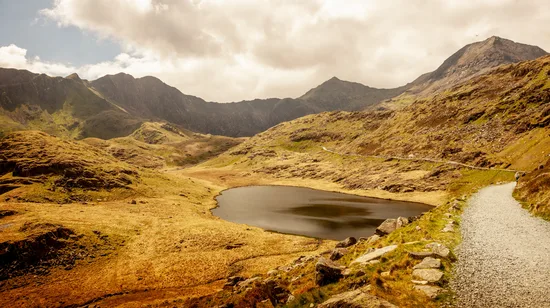 Wild Whale and Dolphin Sightseeing Cruise Experience in Hokkaido