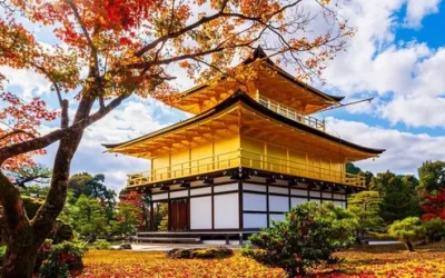 Chiang Mai Elephant Retirement Park Day Tour with Elephant Care Program & Outdoor Activities f0rmknoztvuc5zgnx4oe