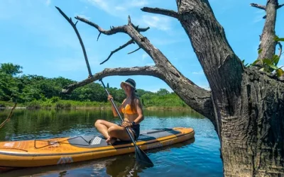 Hualien: Water Forest SUP Experience