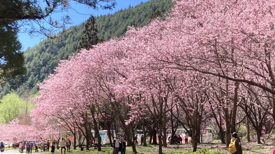 Central Taiwan 3 Day Charter Tour from Taichung