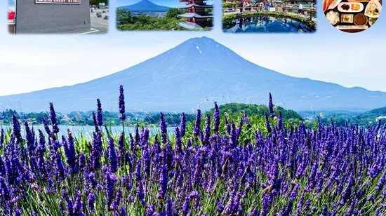 Landmannalaugar Guided Hiking Tour in Iceland 12 Landmannalaugar Guided Hiking Tour in Iceland