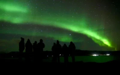 fficxtwjdkpgkgendl21