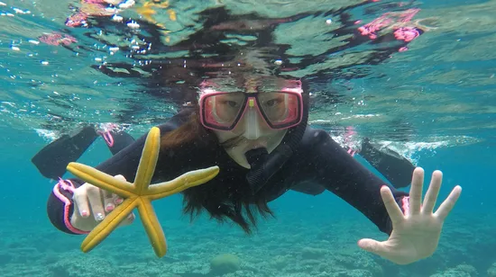 Nusa Penida Diving Experience by Dune Atlantis