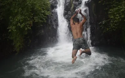 fgurgvlsihuz88dyujcf