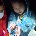 Nantou Xitou: Xitou Ecological Exploration Experience at Night
