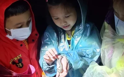 Nantou Xitou: Xitou Ecological Exploration Experience at Night
