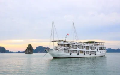 g17ona4g8hdtdvnfu9wt