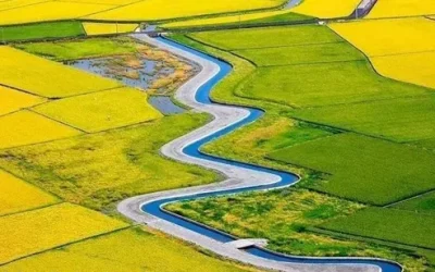 Paddy Field Canoe Experience in Yilan