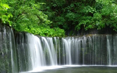 g6fwqoowlrlaqjxp9iaf