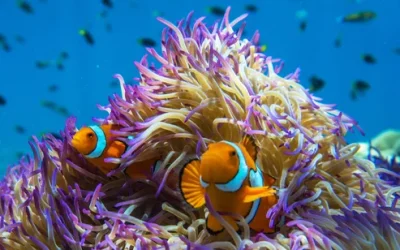 gdqqyf2bd4lgjxyua0rc